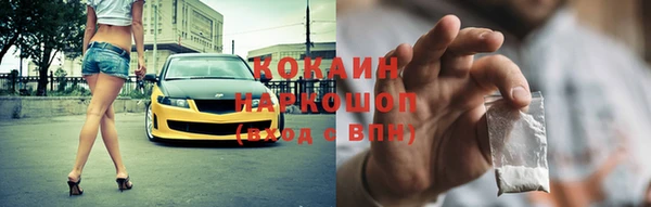 индика Алзамай