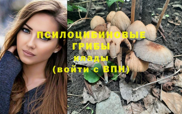 индика Абдулино