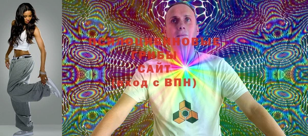 шишки Абинск