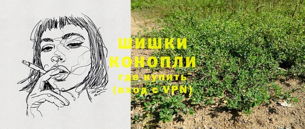 шишки Абинск