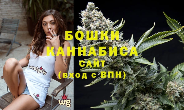 индика Абдулино